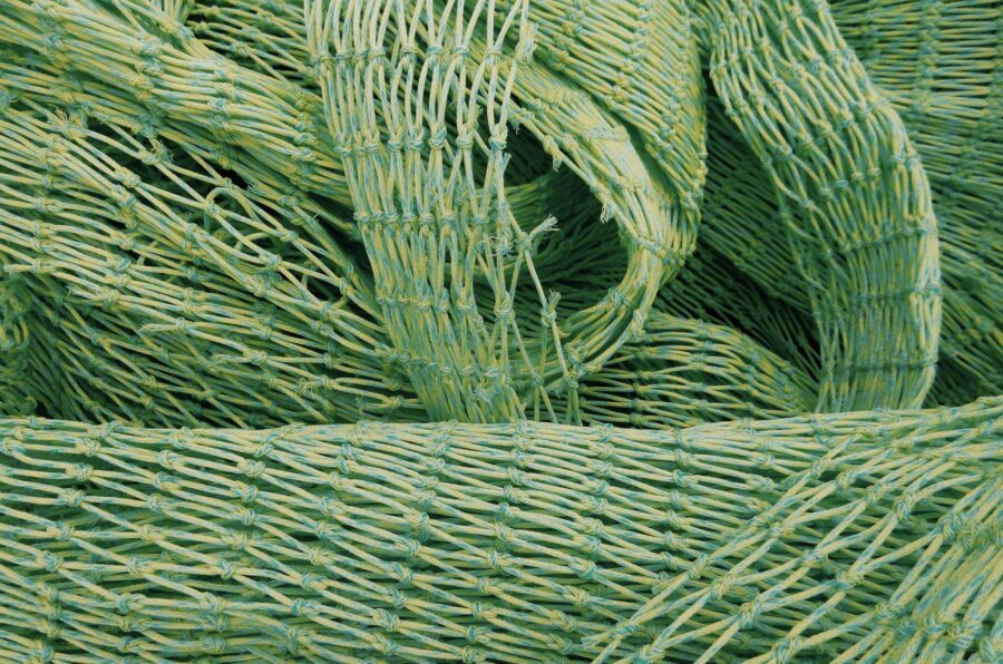 Από την πτώση στη συλλογή: πώς τα ελαιόπανα αλλάζουν τη διαδικασία της συγκομιδής