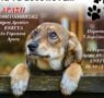 Ο Δήμος Αρταίων τιμά την Παγκόσμια Ημέρα Αδέσποτων Ζώων με ειδικές δράσεις ενημέρωσης και ευαισθητοποίησης